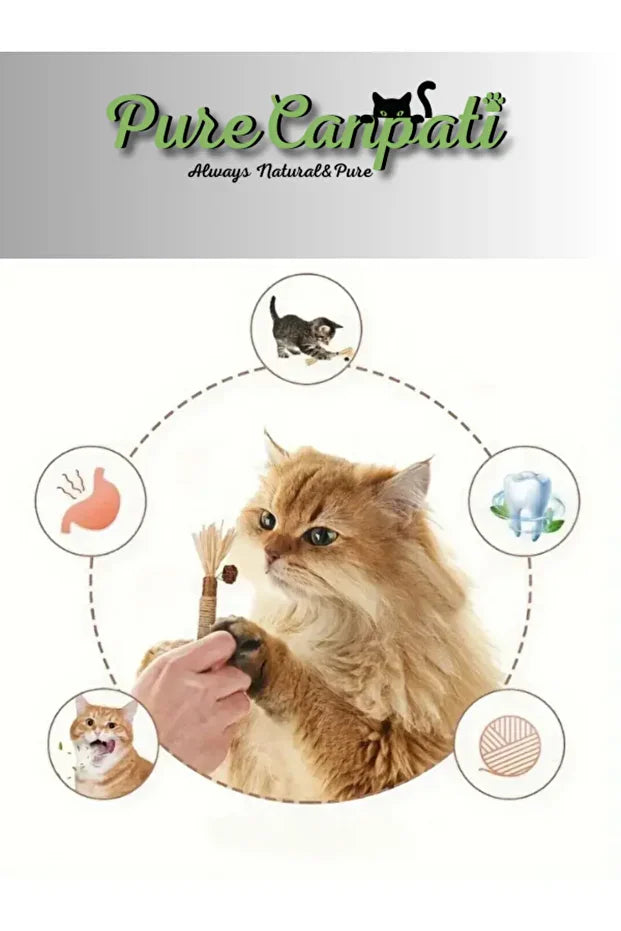 Doğal Kedi Çiğneme Çubuğu