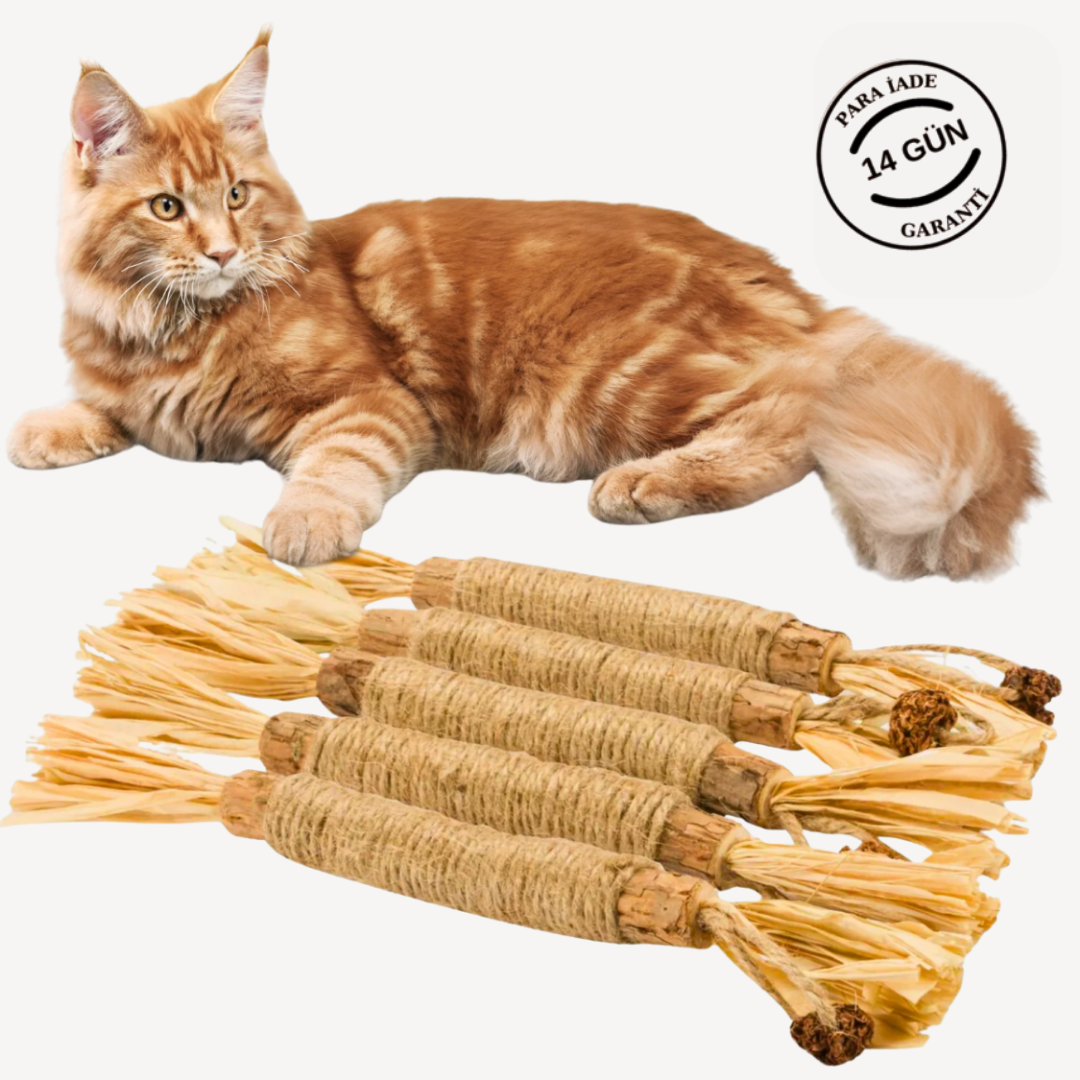Doğal Kedi Çiğneme Çubuğu