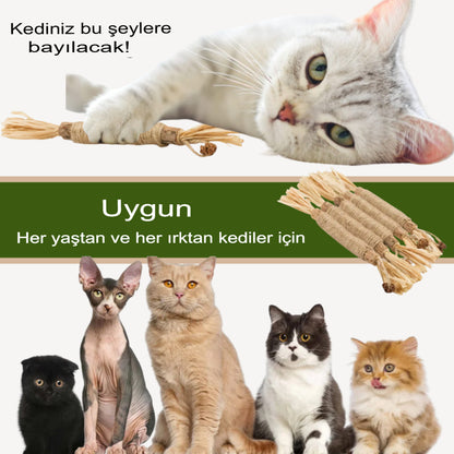 Doğal Kedi Çiğneme Çubuğu